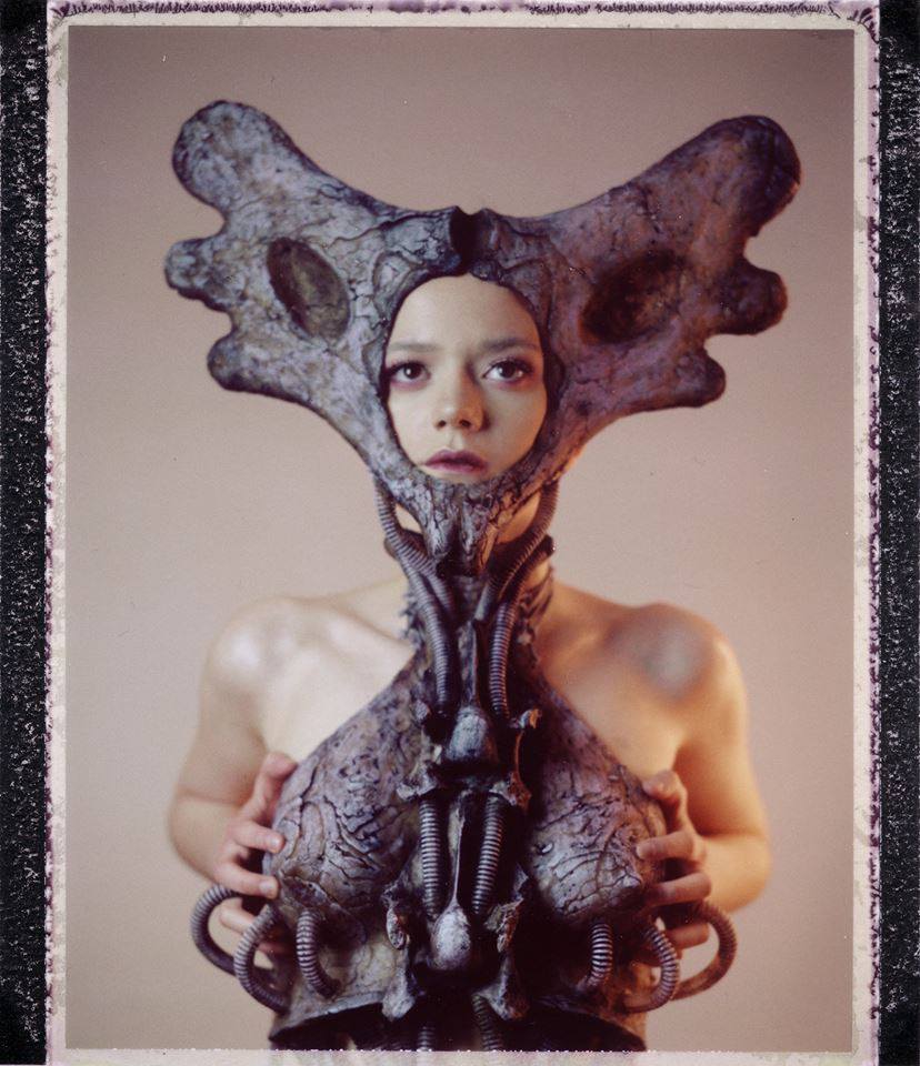 fot. Darek Pietrzak fot. Darek Pietrzak