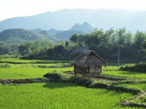 laosikona